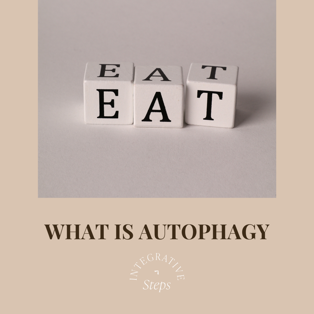What is Autophagy and Why Should You Care, integrative steps